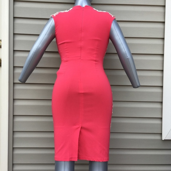 Stunning Bodycon Dress in Pink and Tan Lace - Picture 3 of 7